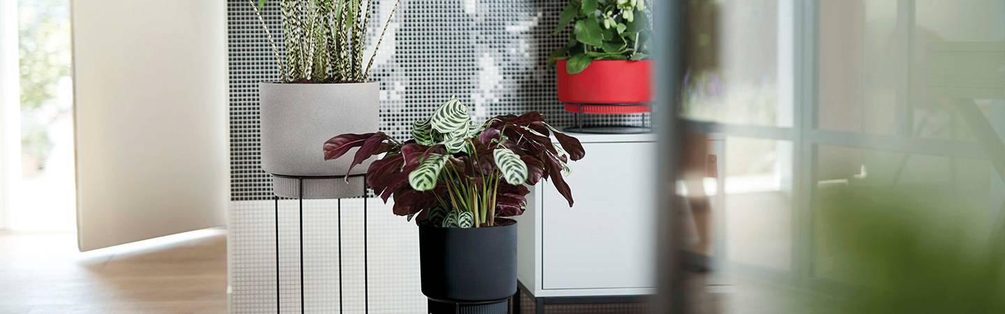 b.for studio rund 30cm living schwarz